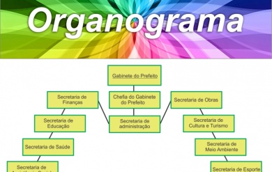 ORGANOGRAMA